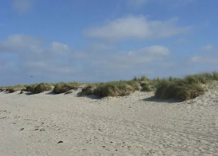 Baltrumweg 4 شيلينغ